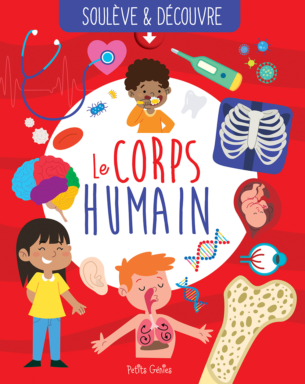 CORPS HUMAIN - SOULEVE ET DECOUVRE