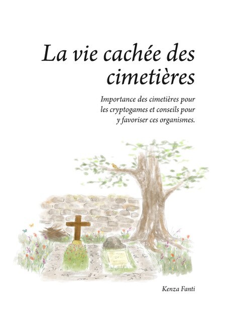 La vie cachée des cimetières - Importance des cimetières pour les cryptogames et conseils pour y favoriser ces organismes