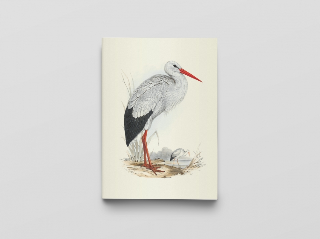 Carnet - Oiseaux d'Europe - Notes et Lectures