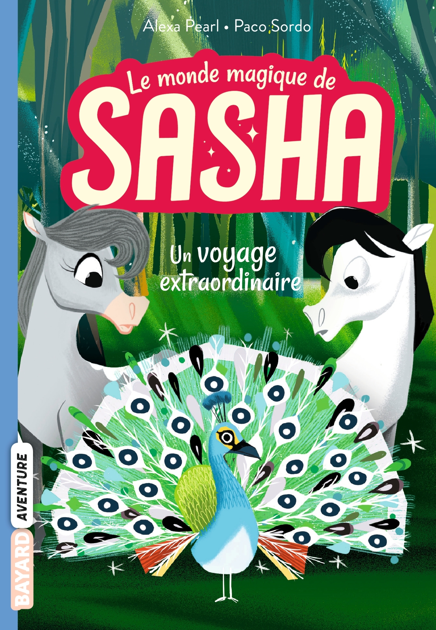Un voyage extraordinaire