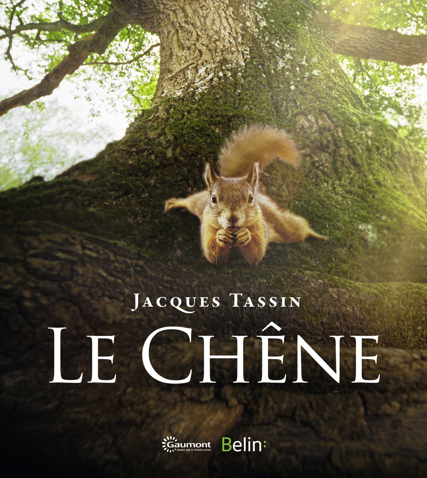 CHENE