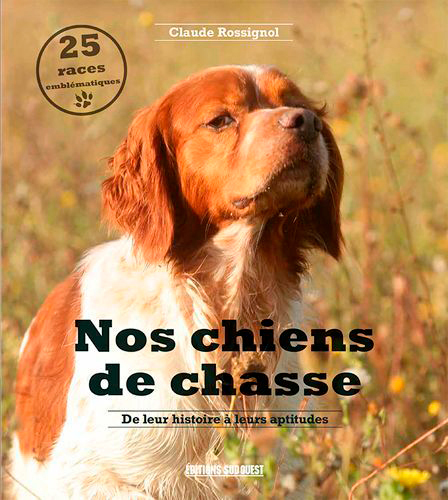 NOS CHIENS DE CHASSE