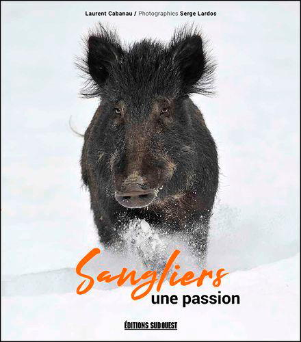 SANGLIERS, UNE PASSION