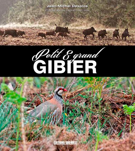 PETIT ET GRAND GIBIER