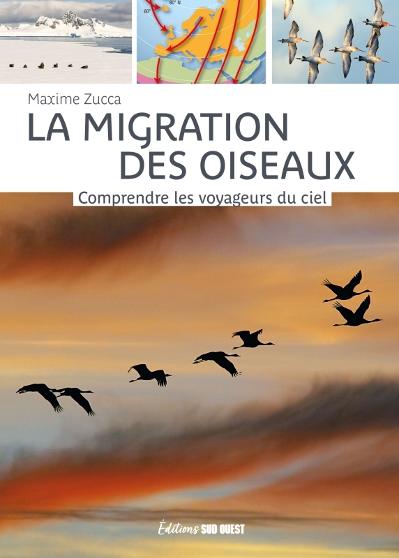 MIGRATION DES OISEAUX. COMPRENDRE LES VOYAGEURS DU CIEL