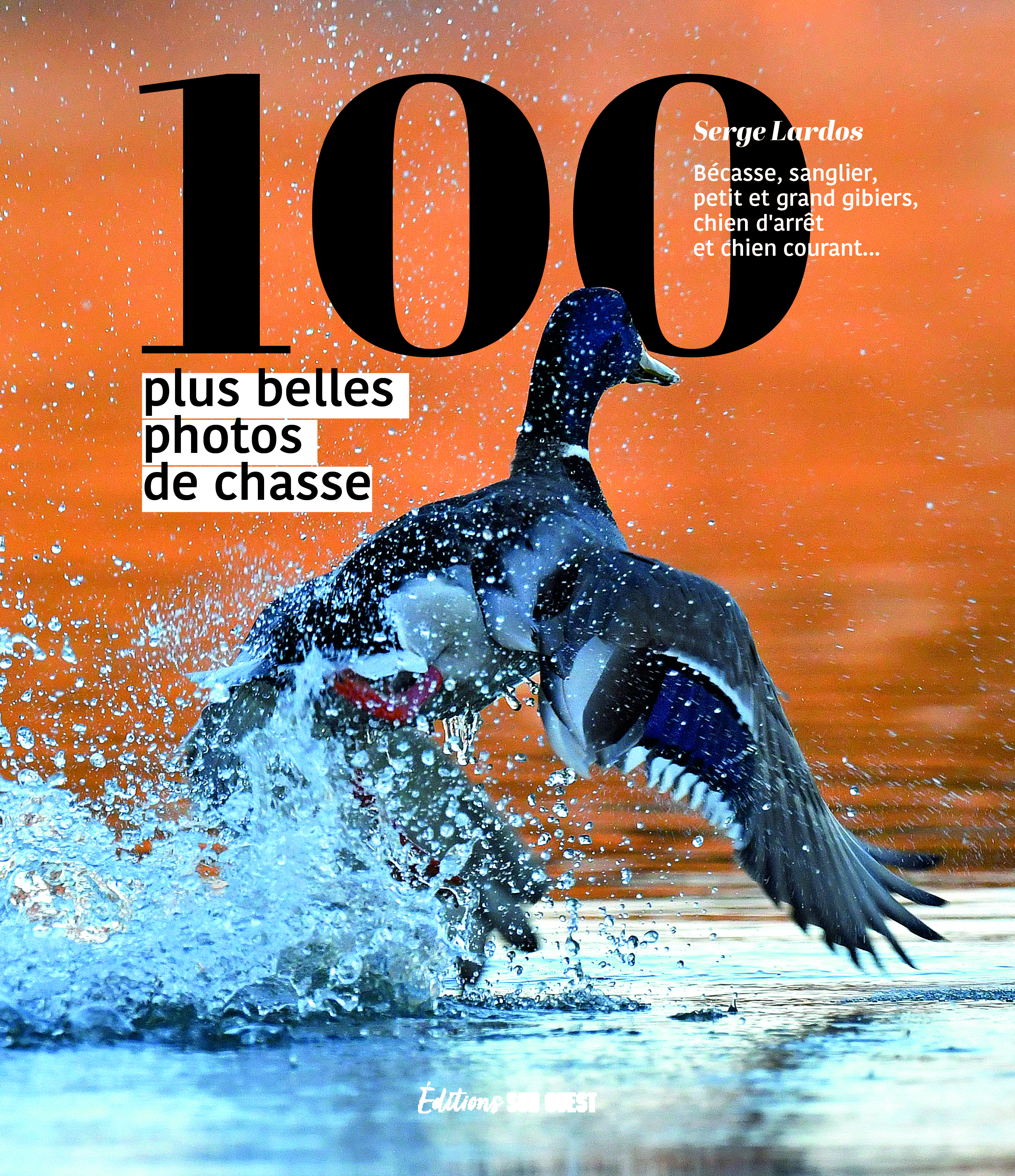Les 100 plus belles photos de chasse - Bécasse, sanglier, petit et grand gibiers, chien d'arrêt et chien courant...