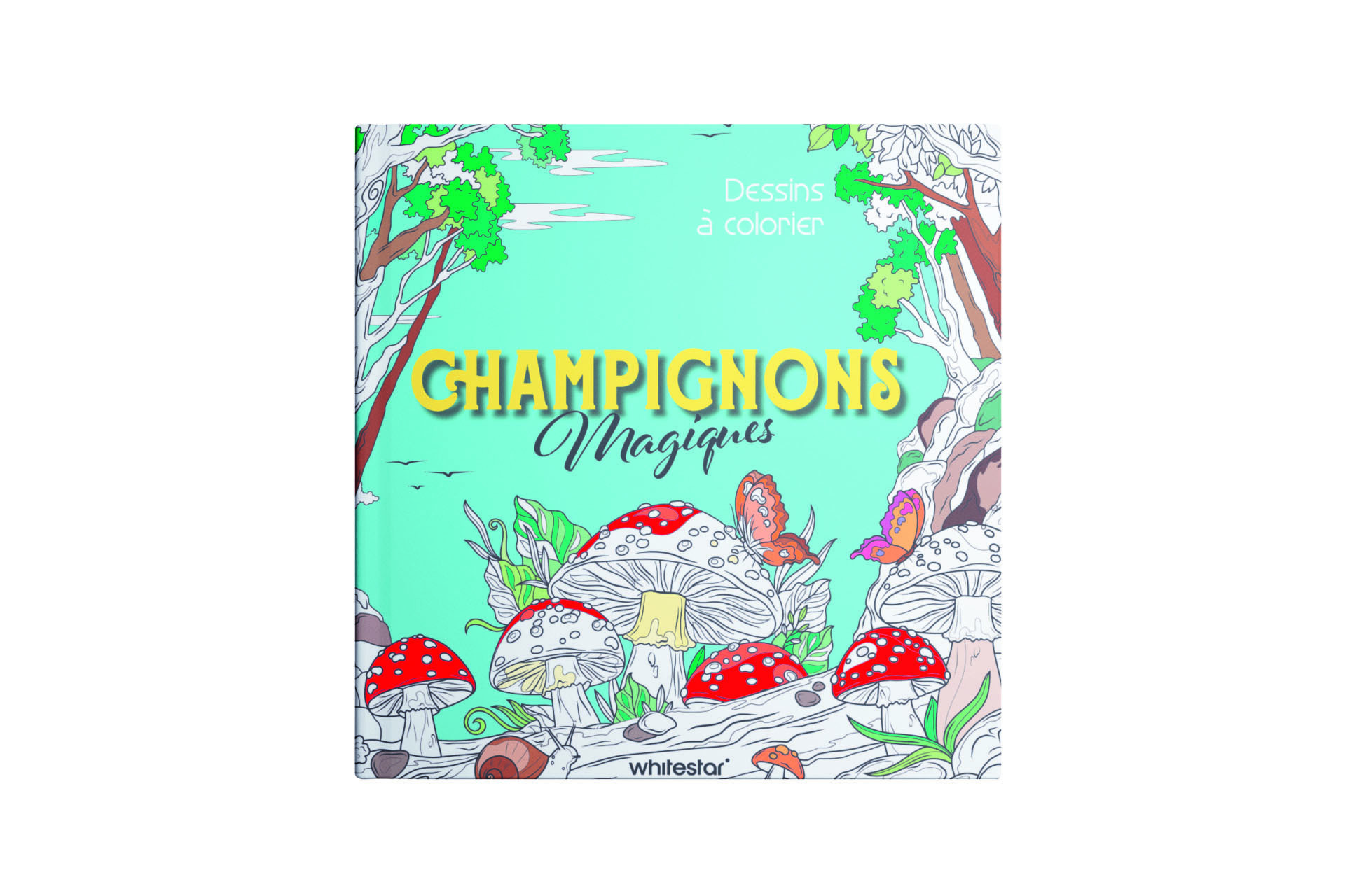 Champignons magiques - Dessins à colorier