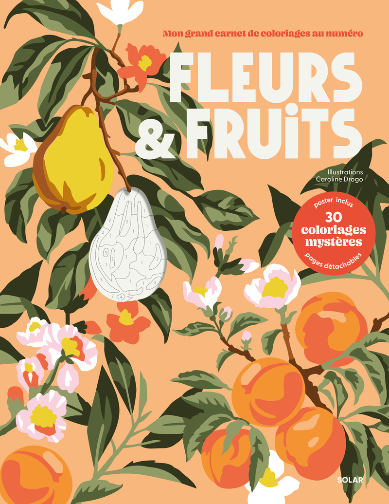 Fleurs et fruits - Mon grand carnet de coloriages au numéro - 30 coloriages mystères