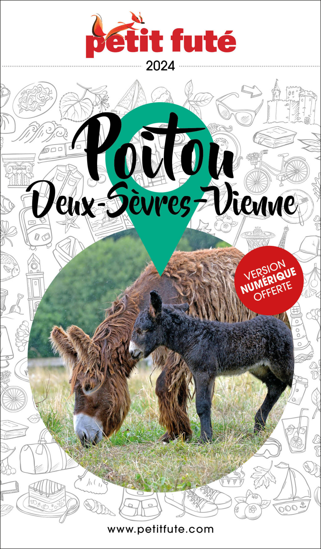 POITOU - DEUX-SEVRES - VIENNE 2024 PETIT FUTE
