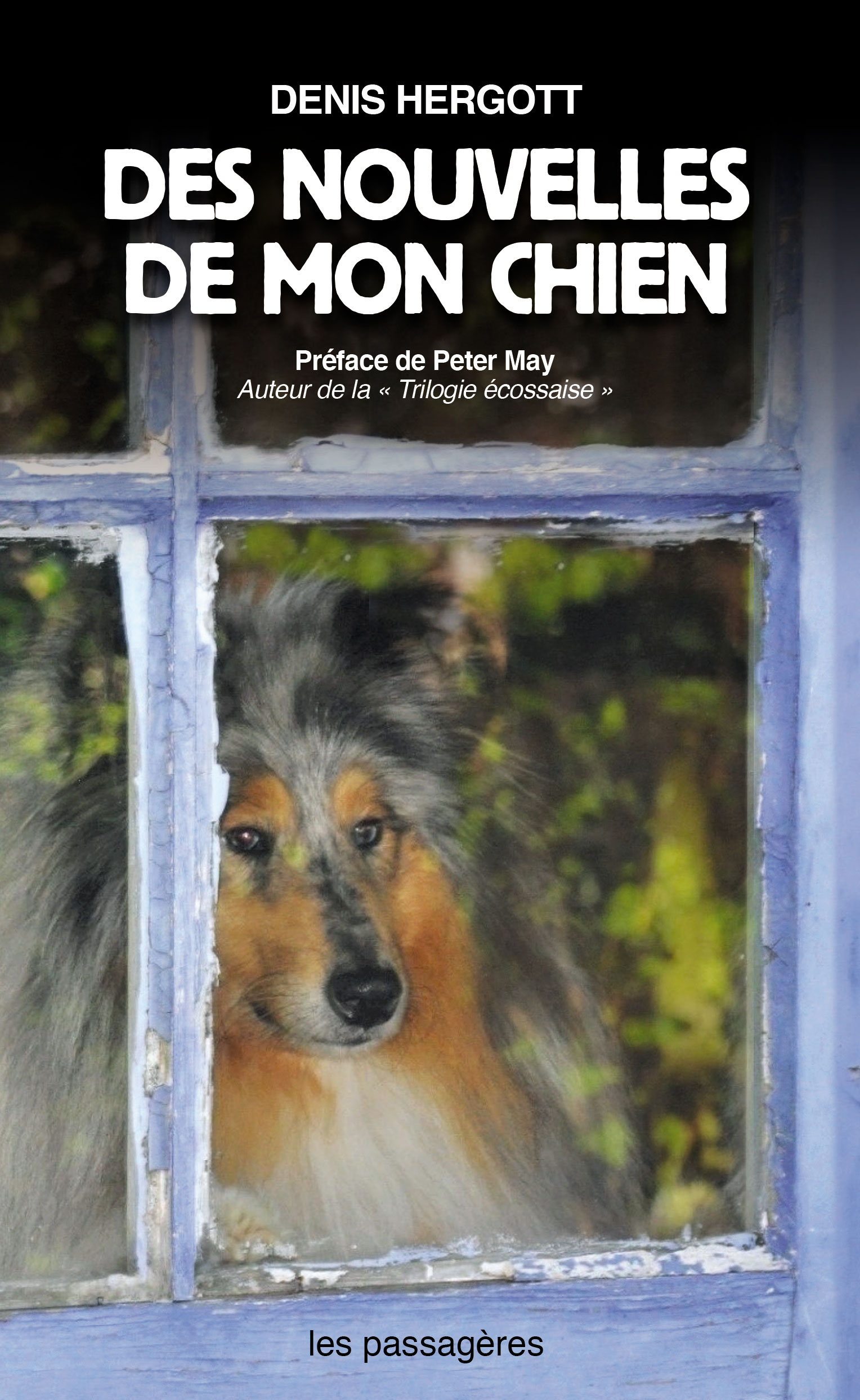 DES NOUVELLES DE MON CHIEN
