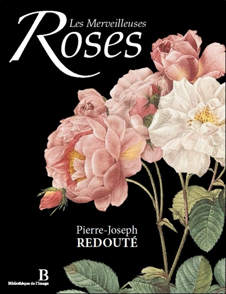 Les Merveilleuses Roses - Bilingue : Français/Anglais