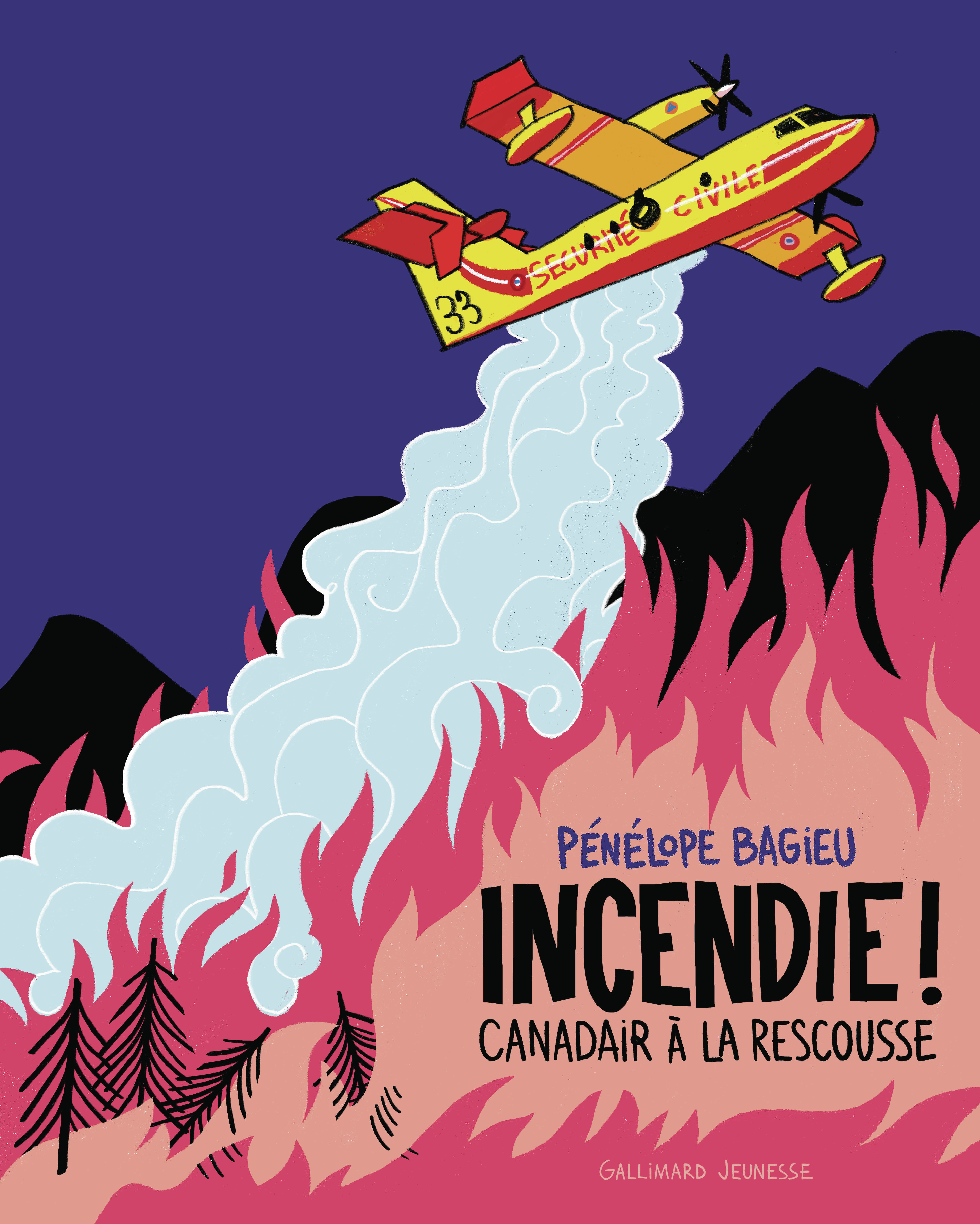 INCENDIE ! CANADAIR A LA RESCOUSSE