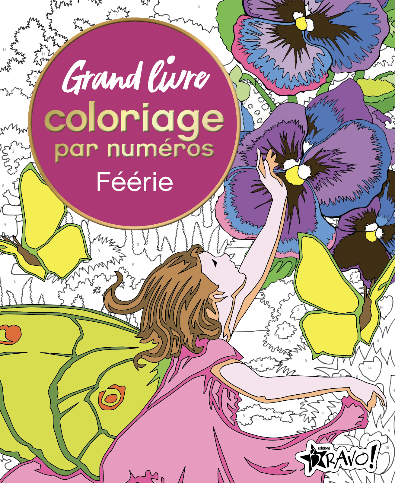 GRAND LIVRE COLORIAGE PAR NUMEROS - FEERIE