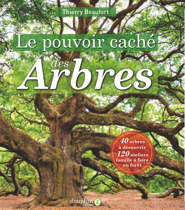 Le pouvoir caché des arbres - 40 arbres à découvrir - 120 ateliers famille à faire en fôret