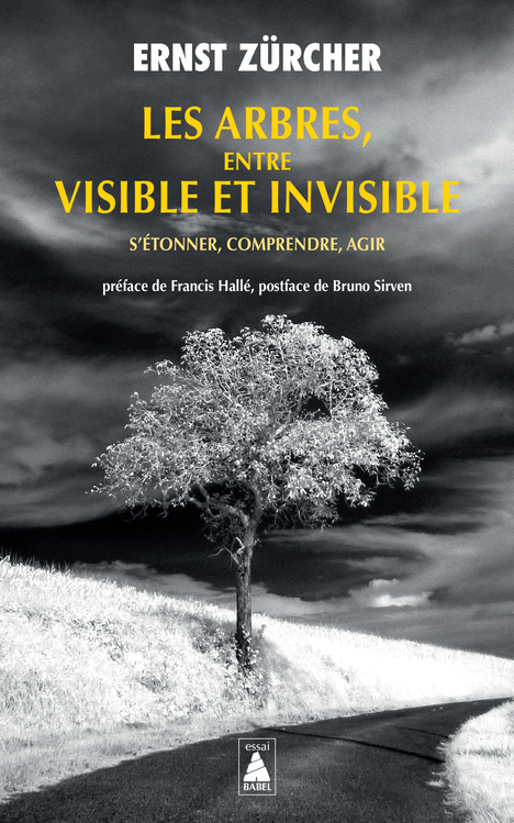 ARBRES, ENTRE VISIBLE ET INVISIBLE (LES) - S´ETONNER, COMPRENDRE, AGIR