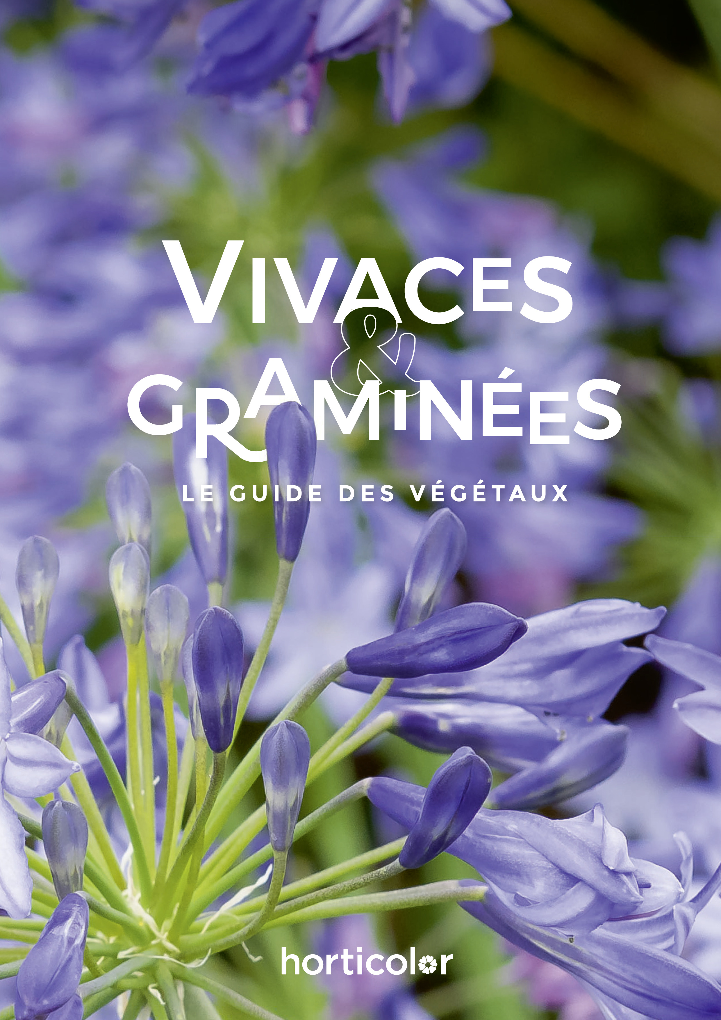 Vivaces & Graminées - Le Guide des Végétaux