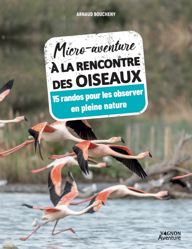 Micro-aventure à la rencontre des oiseaux - 15 randos pour les observer en pleine nature