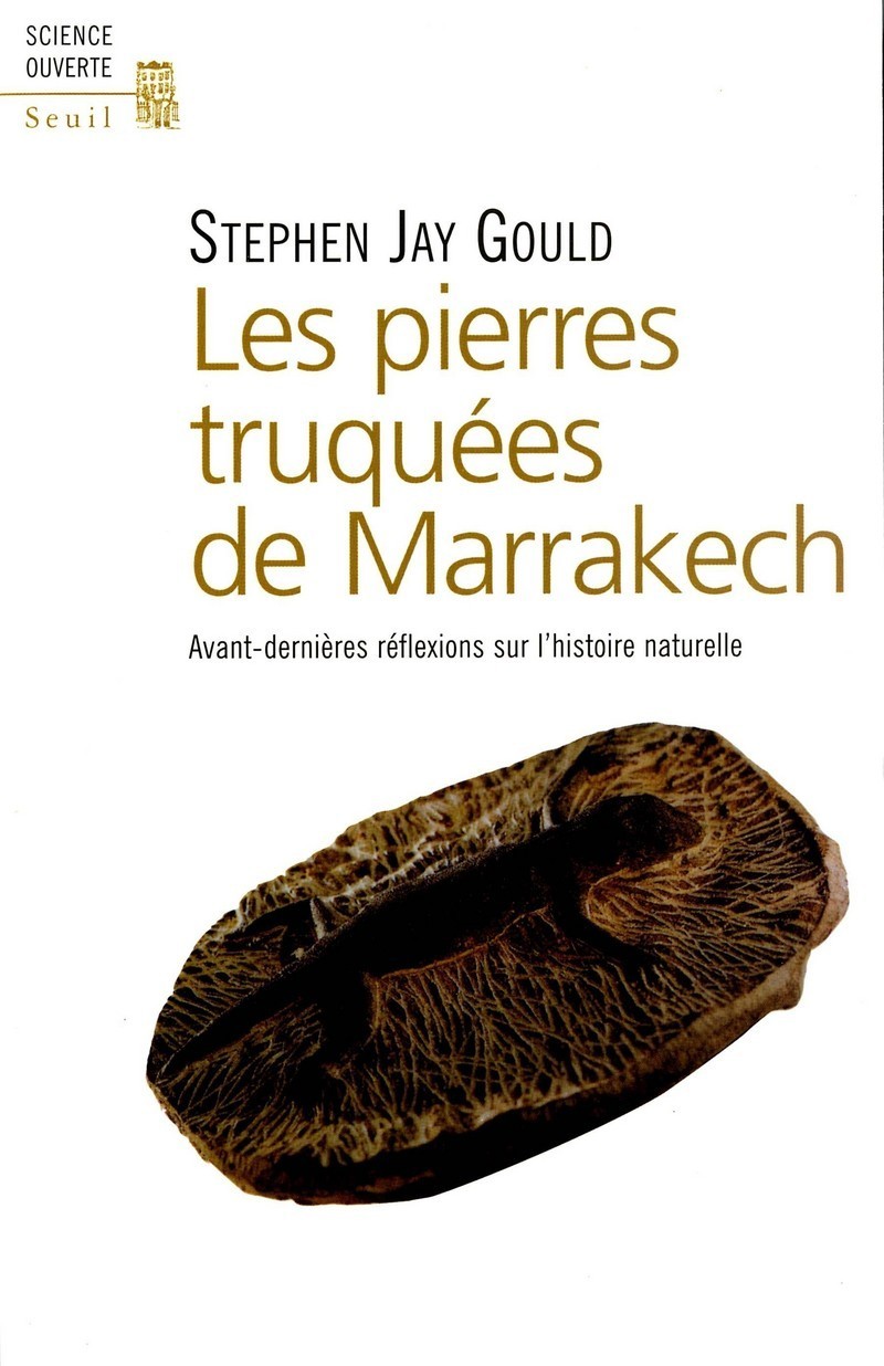 PIERRES TRUQUEES DE MARRAKECH