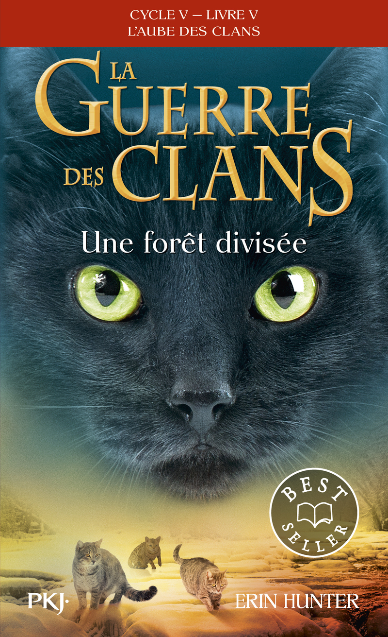 LA GUERRE DES CLANS - CYCLE V : L´AUBE DES CLANS - TOME 5 UNE FORET DIVISEE -POCHE- - VOL05
