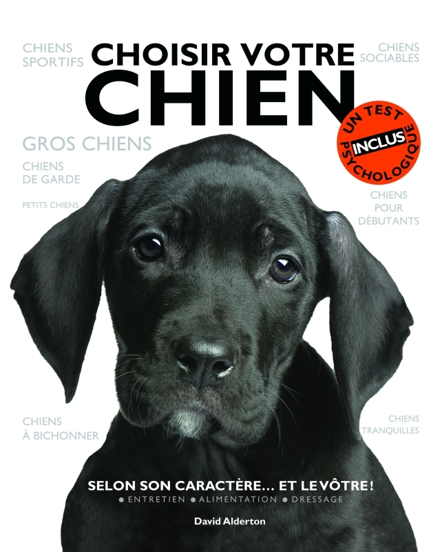 Choisir votre chien - selon son caractère... et le vôtre !
