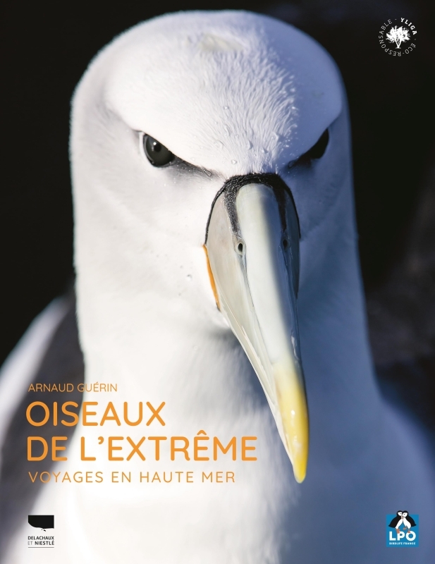Oiseaux de l'extrême - Voyages en haute mer