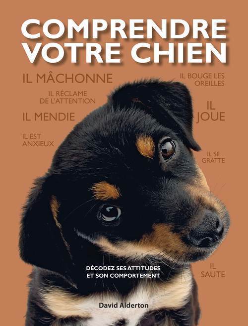 Comprendre votre chien - Décodez ses attitudes et son comportement
