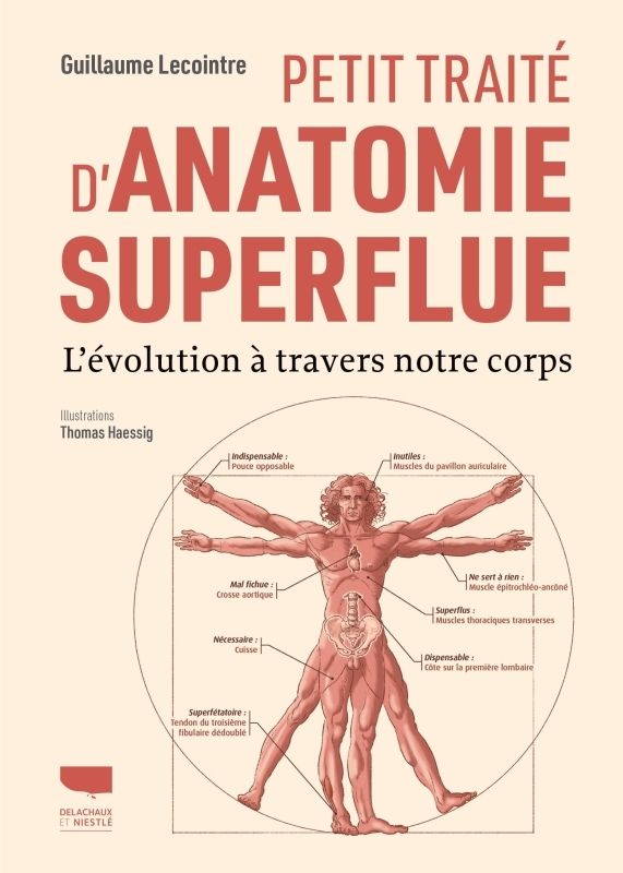 Petit traité d'anatomie superflue - l'évolution à travers notre corps