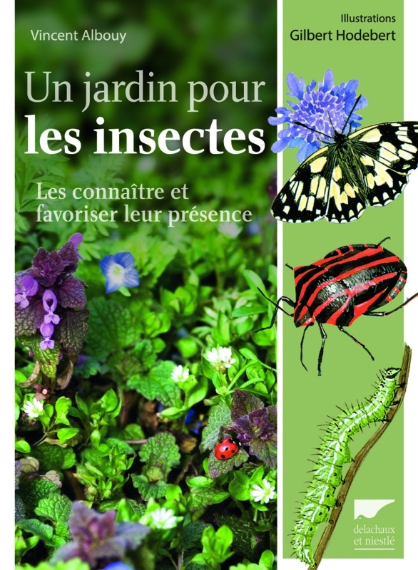 Un jardin pour les insectes - Les connaître et favoriser leur présence
