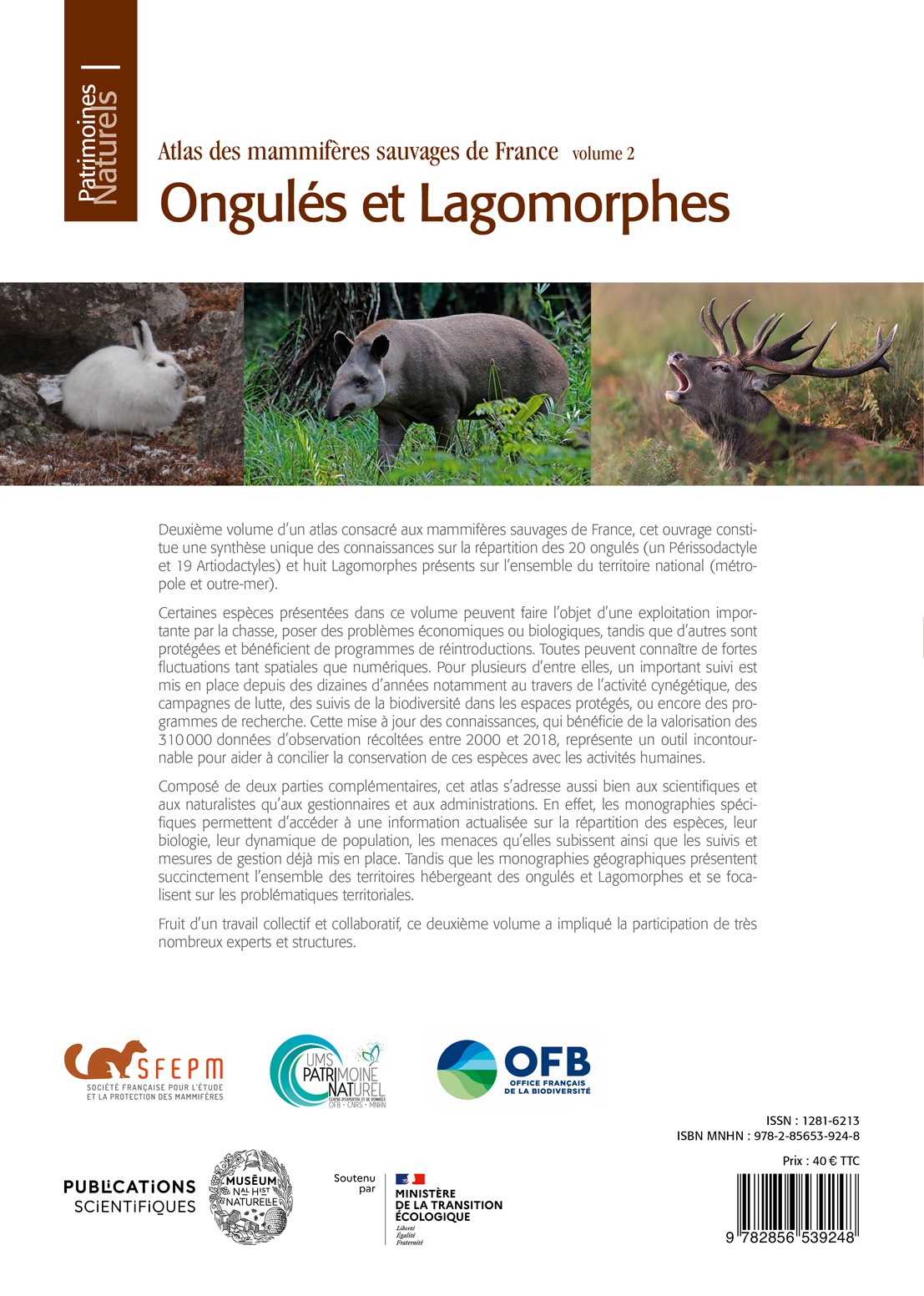 image-produit