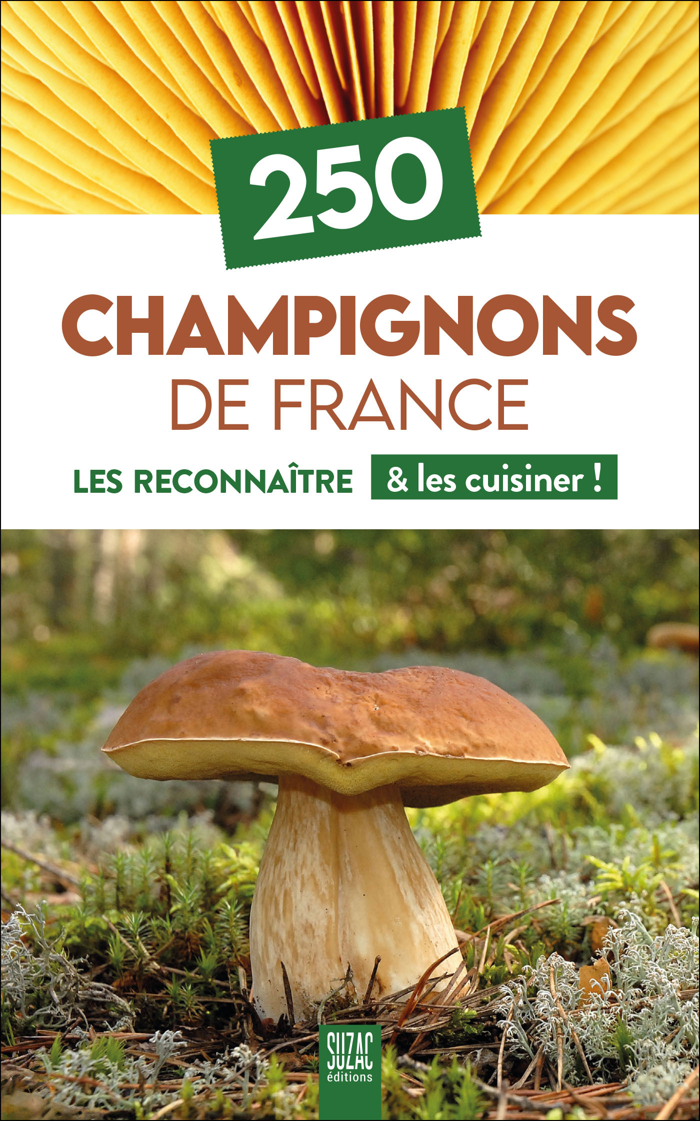 250 champignons de France - Les reconnaître & les cuisiner !