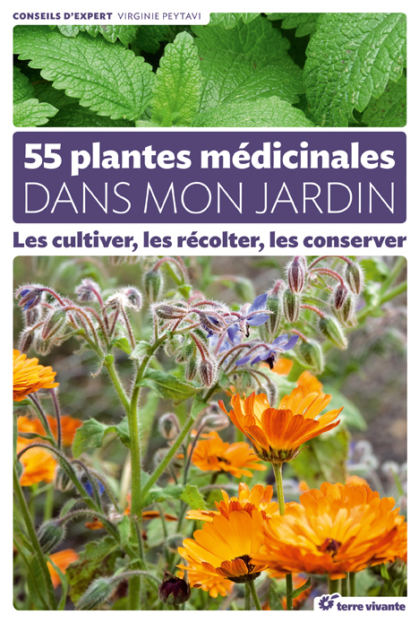 55 PLANTES MEDICINALES DANS MON JARDIN