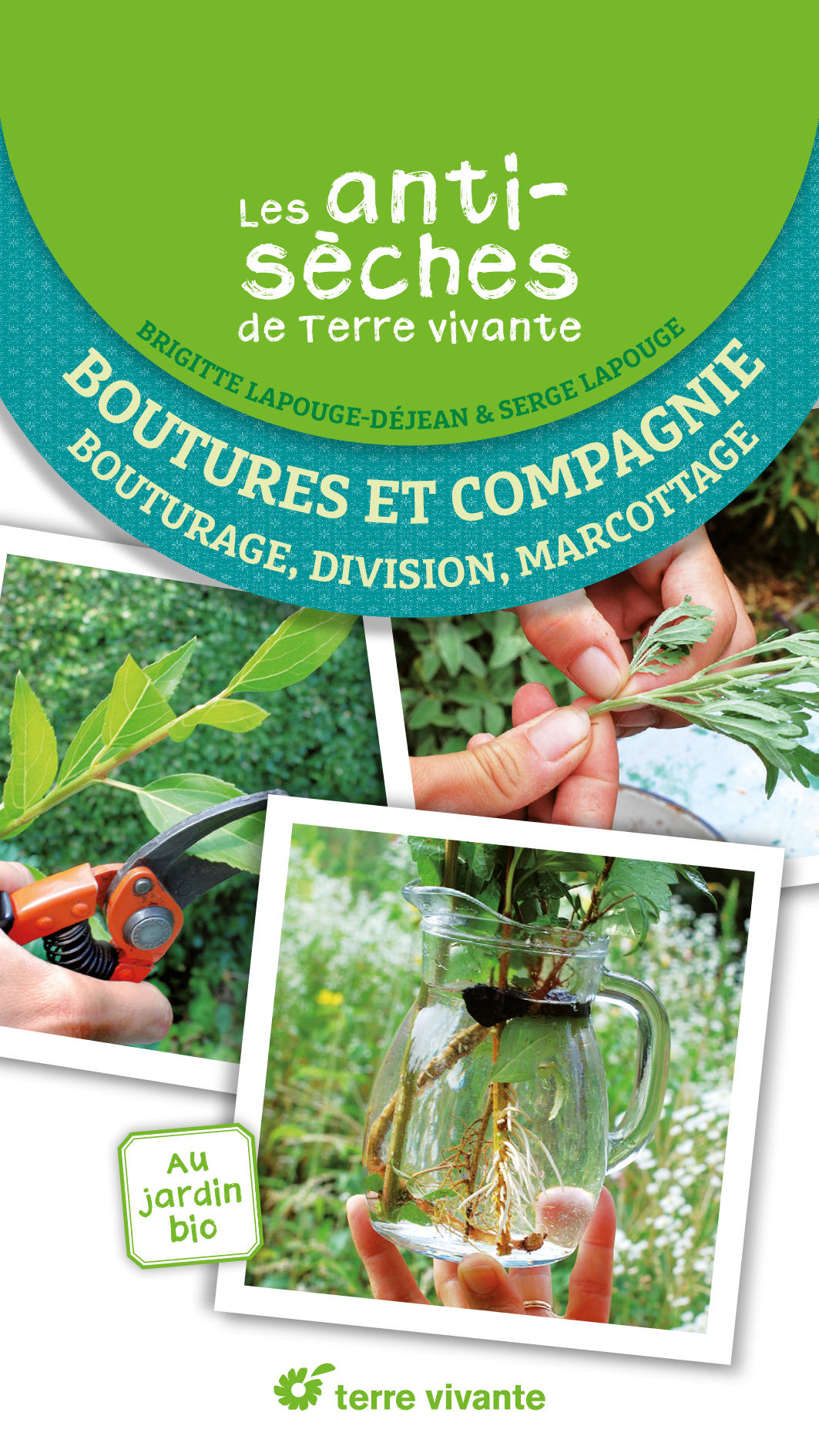 Bouturage, division, marcottage