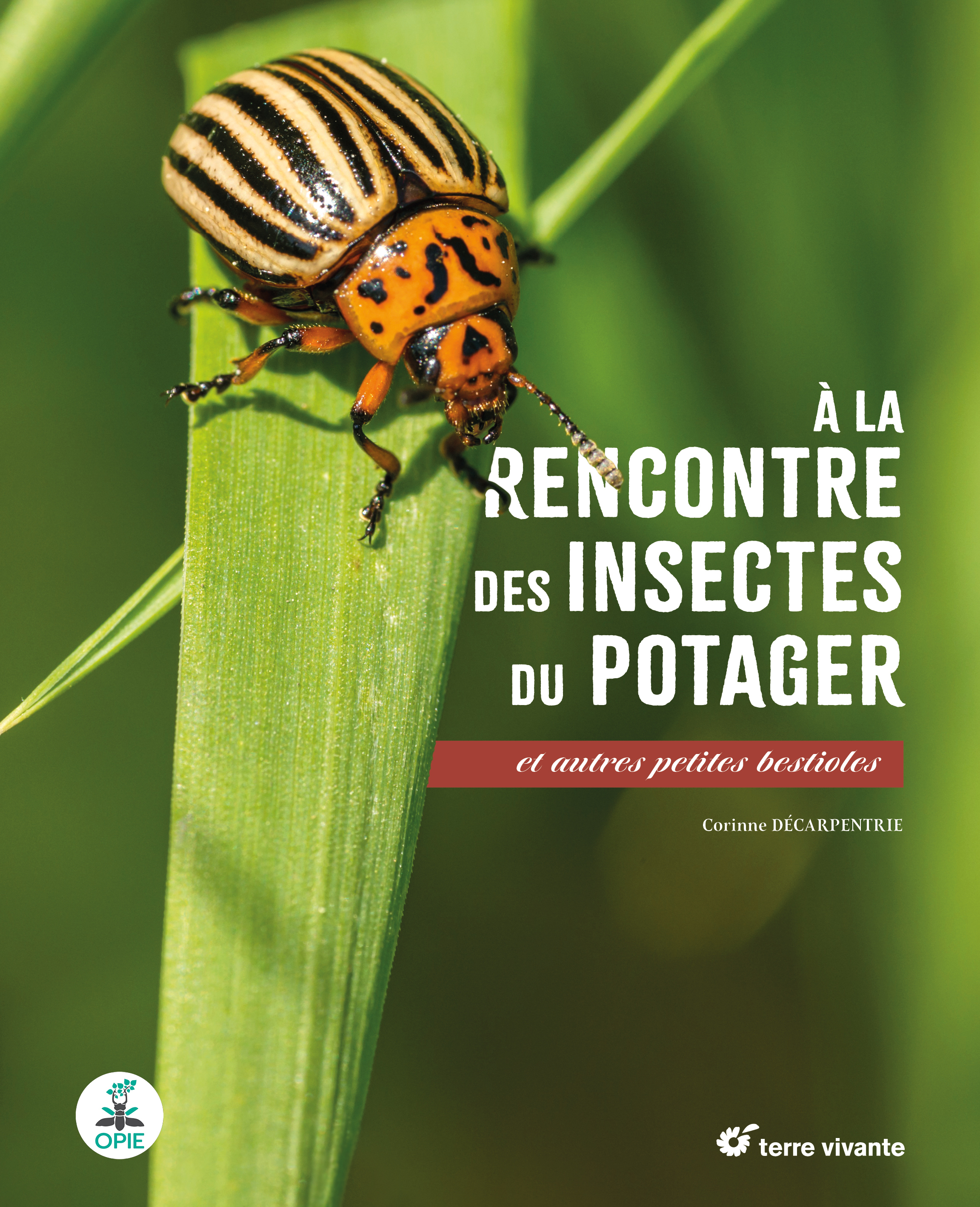 A LA RENCONTRE DES INSECTES DU POTAGER - ET AUTRES PETITES BESTIOLES