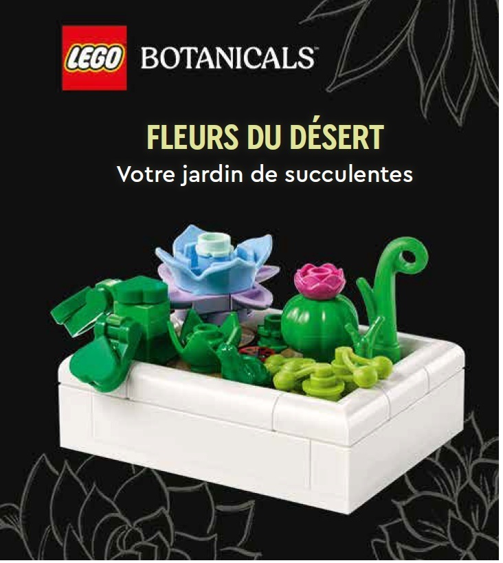 Votre jardin de succulentes