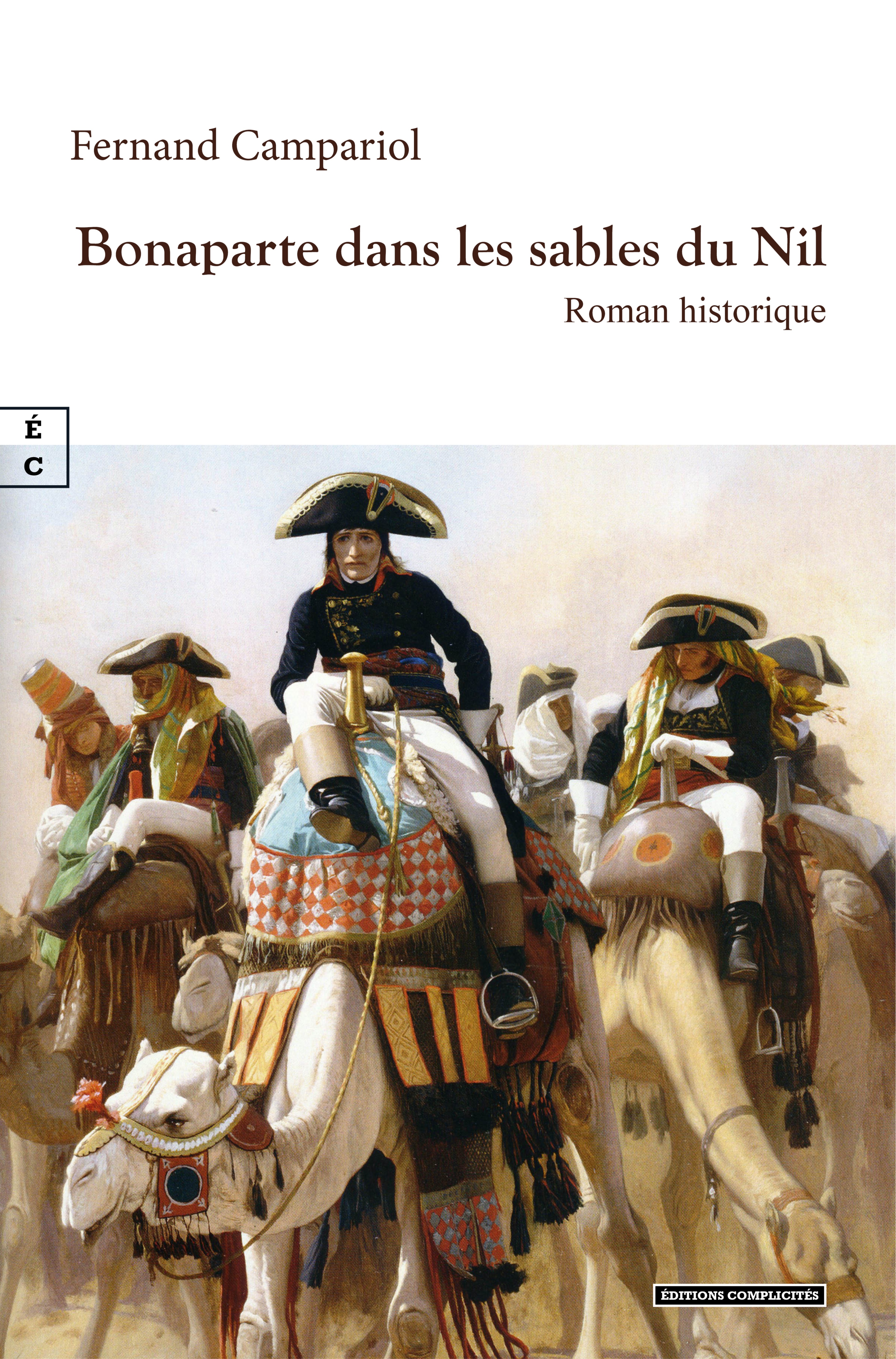Bonaparte dans les sables du Nil - roman historique