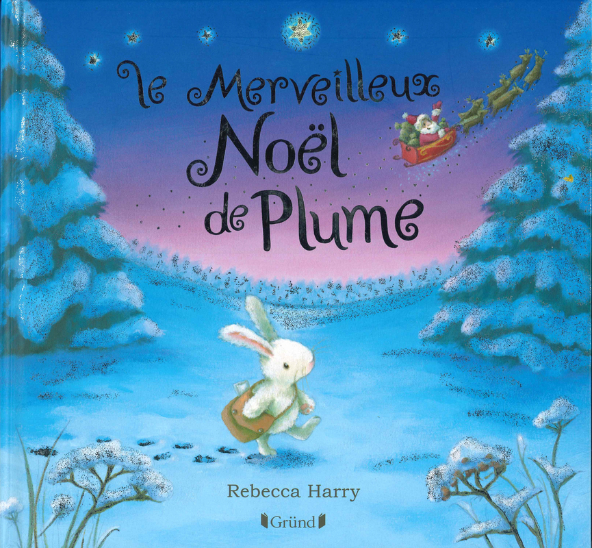 MERVEILLEUX NOEL DE PLUME (NE)