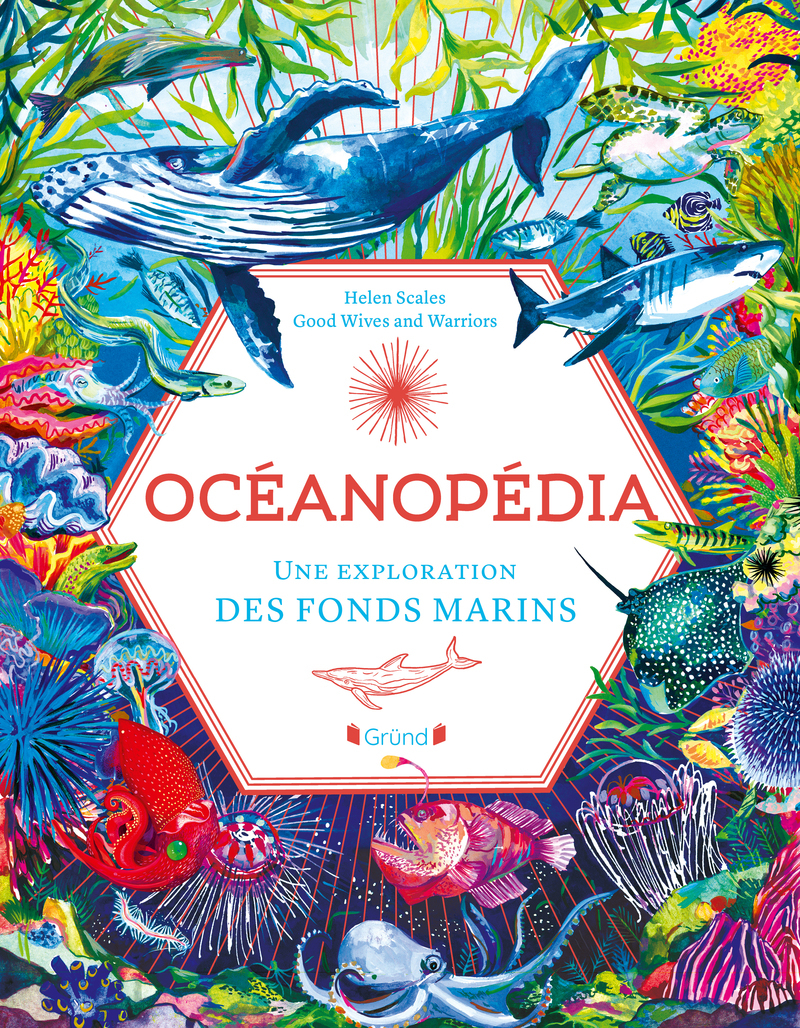 Oceanopedia - Une exploration des fonds marins