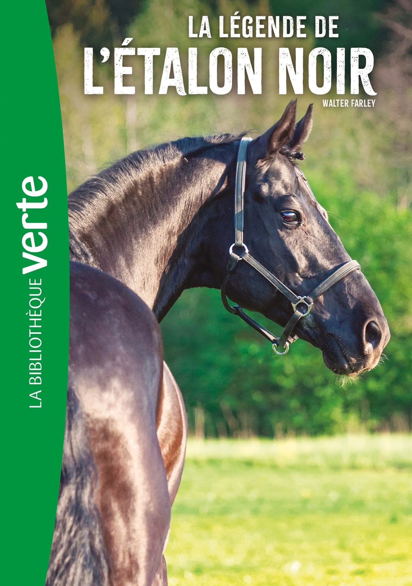 L´ETALON NOIR - T15 - L´ETALON NOIR NED 15 - LA LEGENDE DE L´ETALON NOIR