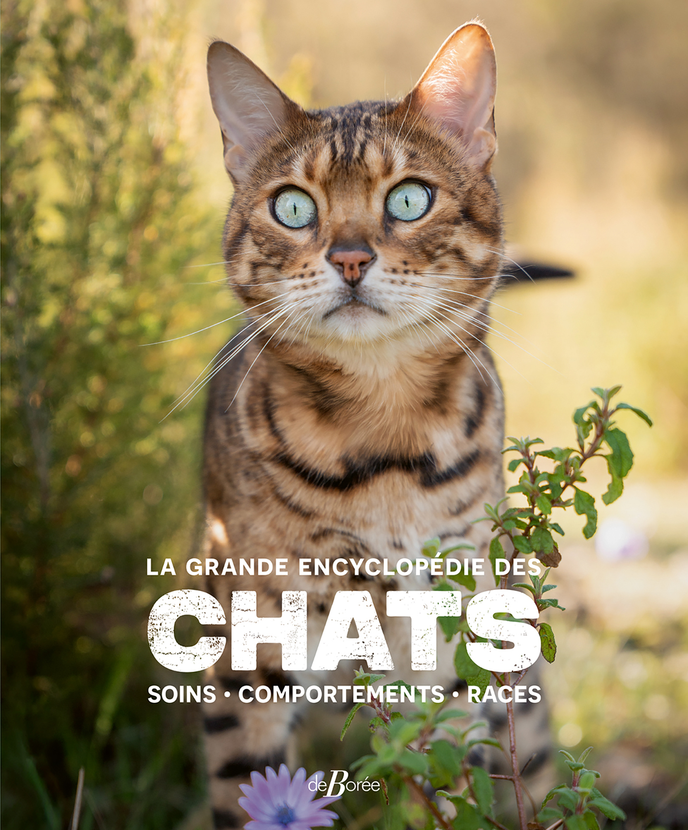 La grande encyclopédie des chats - Soins, comportements, races
