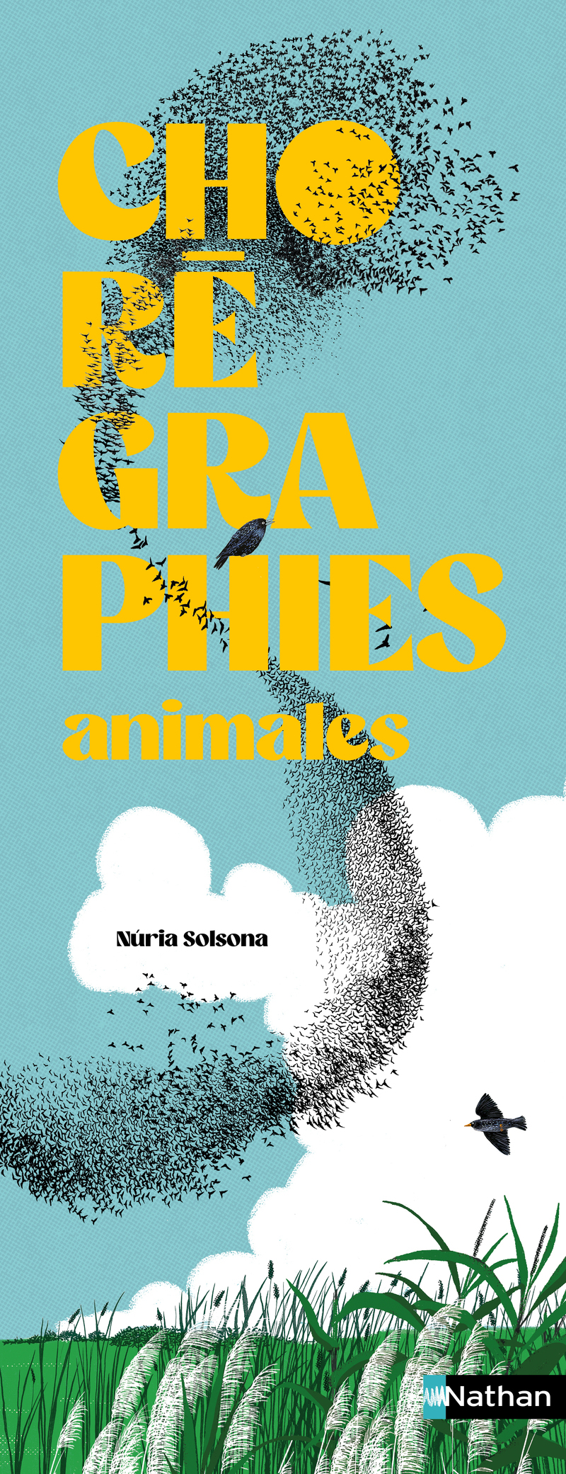 Chorégraphies animales