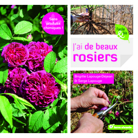 J'ai de beaux rosiers