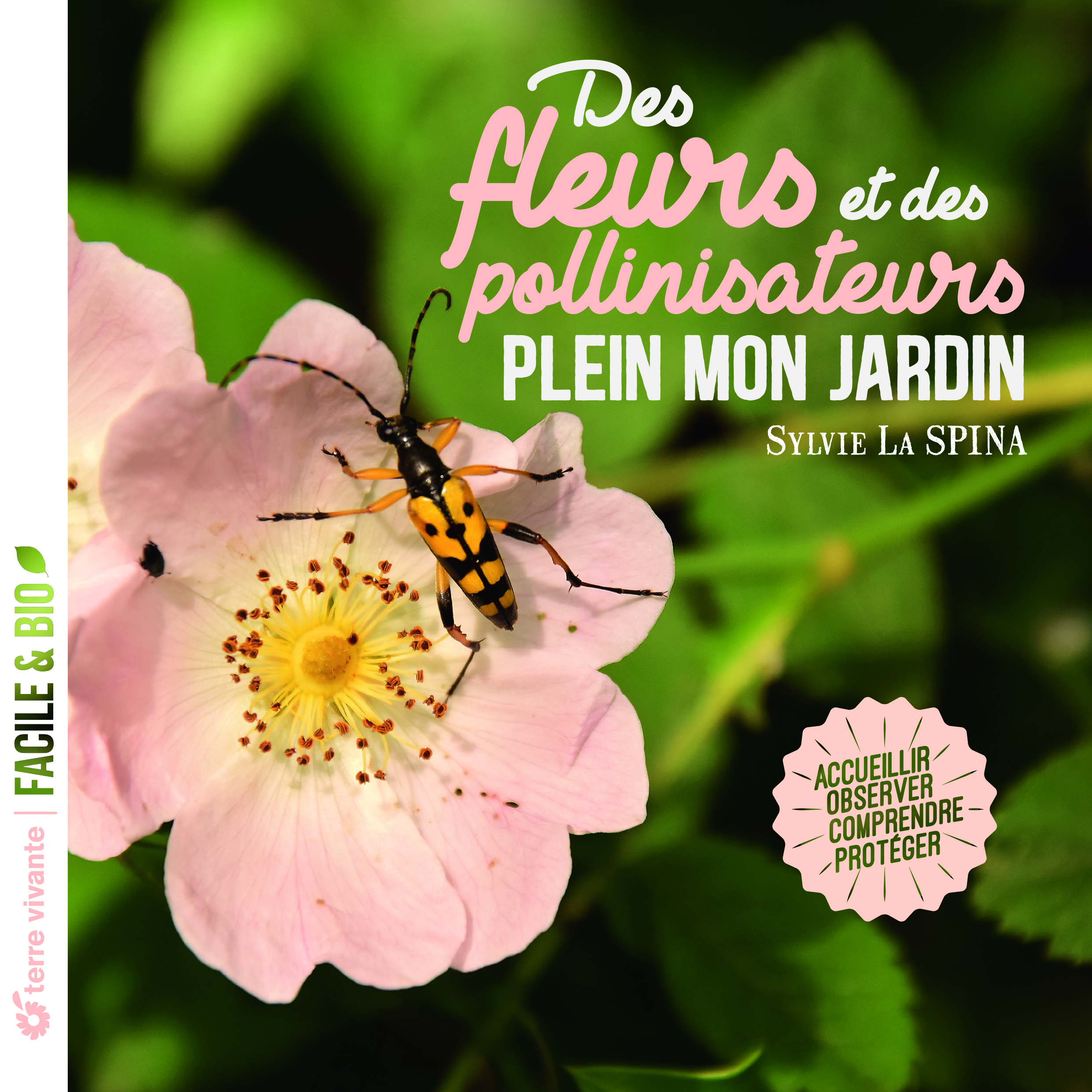 Des fleurs et des pollinisateurs plein mon jardin