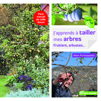 J'apprends à tailler mes arbres