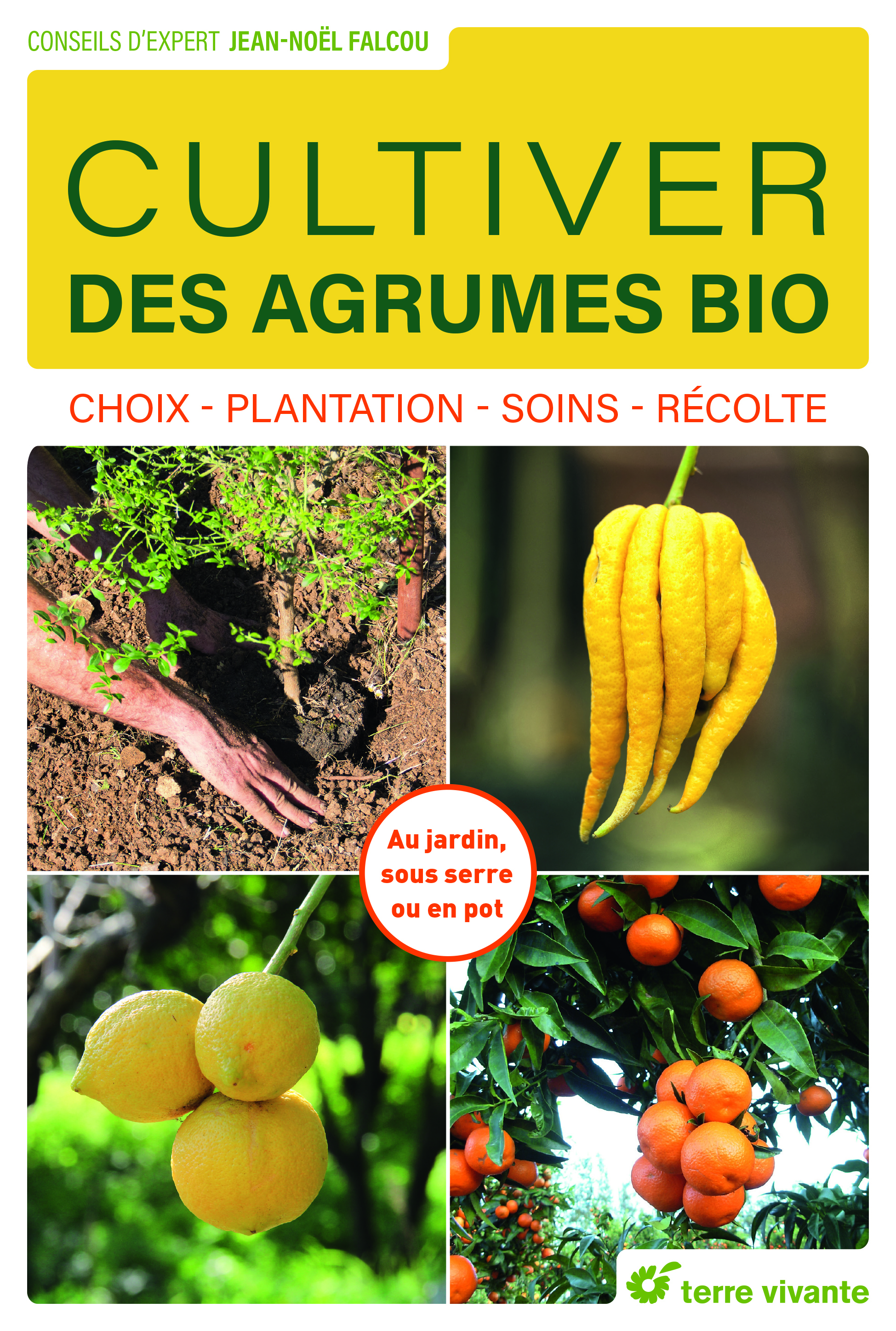 Cultiver des agrumes bio