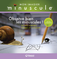 Lettres, chiffres, formes et couleurs