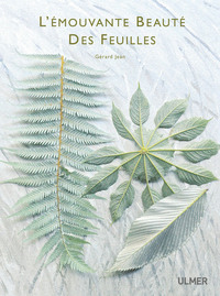 L'Emouvante beauté des feuilles