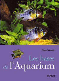 Les bases de l'aquarium