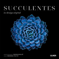 Succulentes - Le design végétal