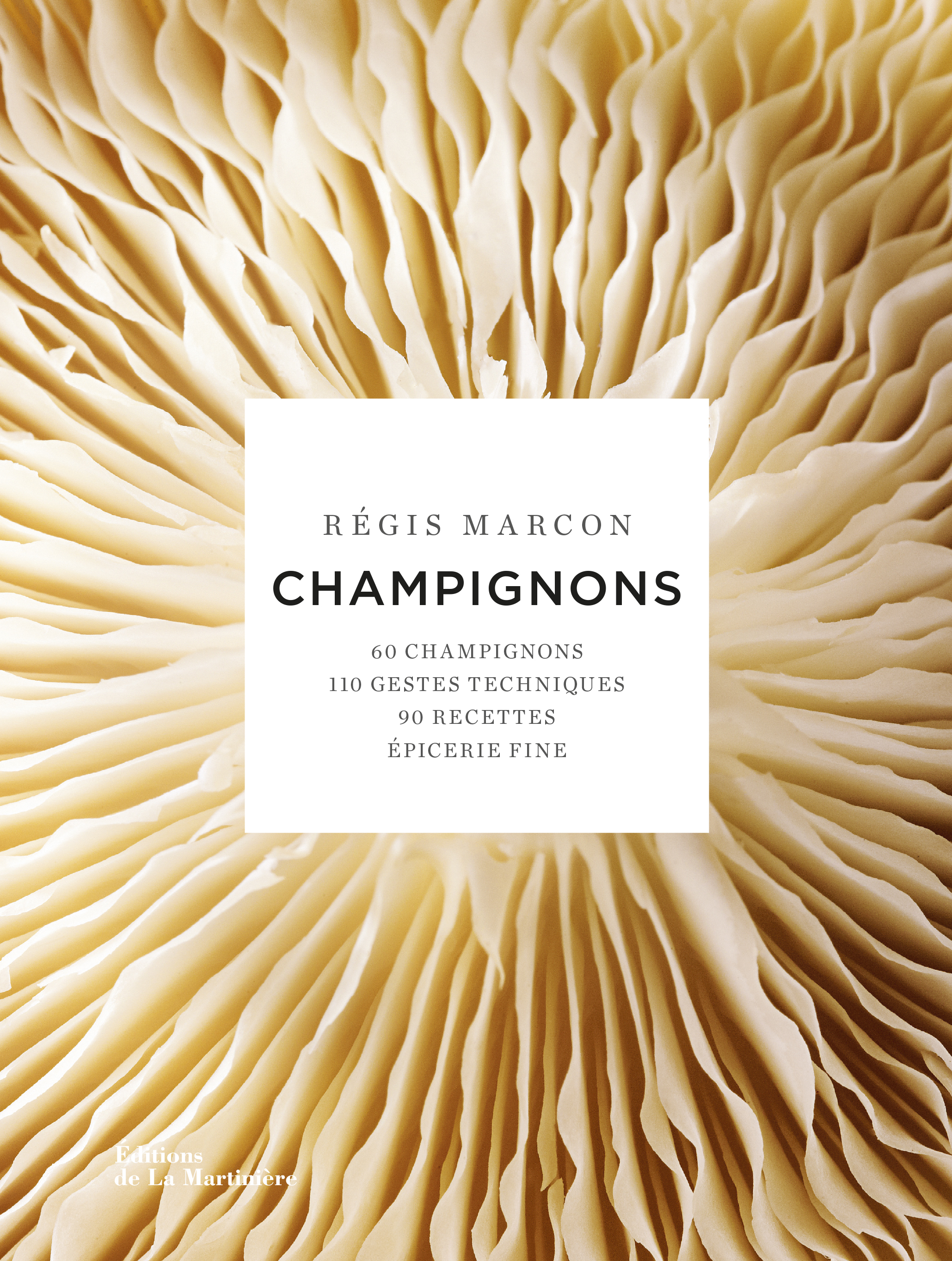 Champignons nouvelle édition