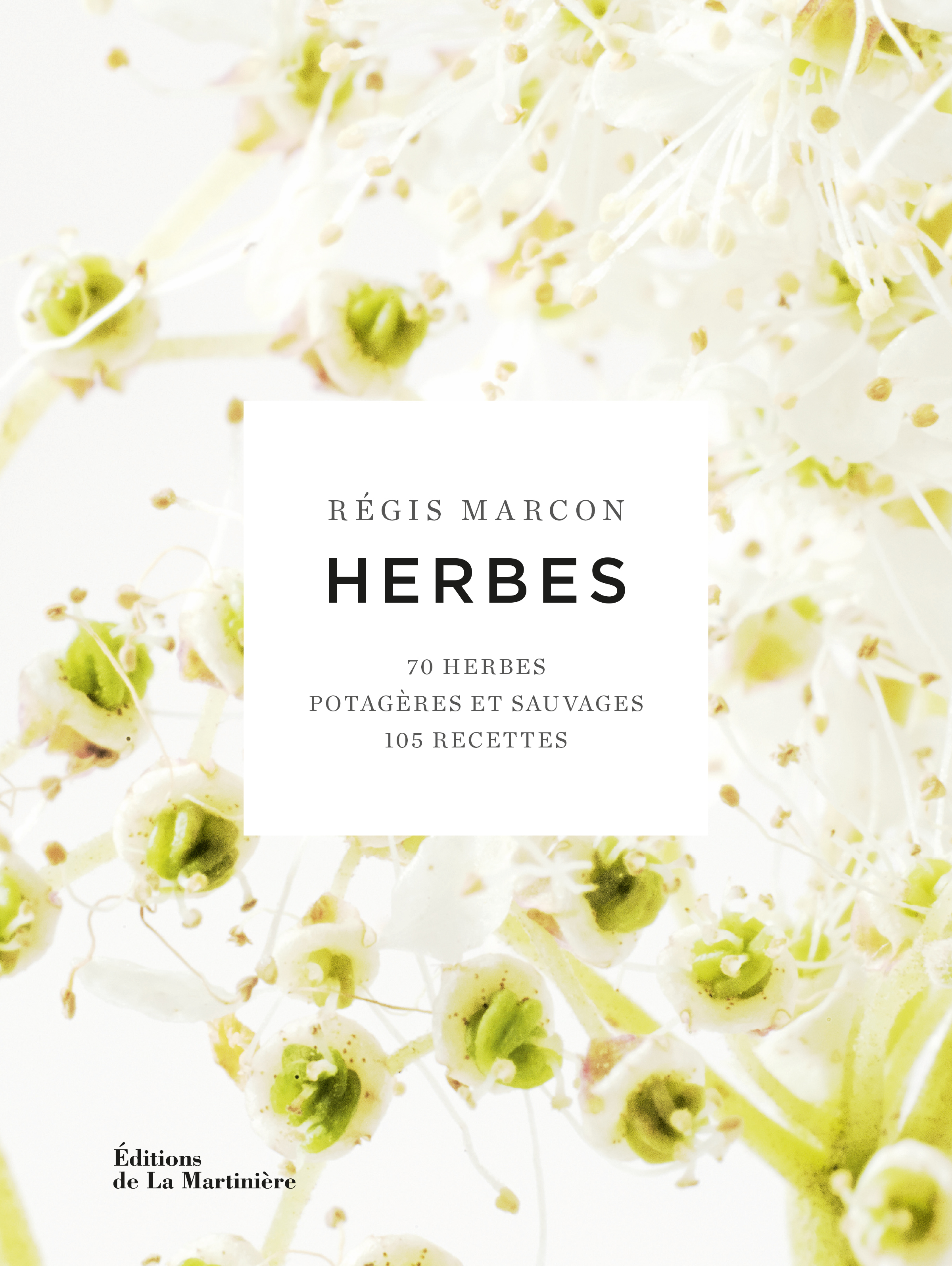 Herbes nouvelle édition
